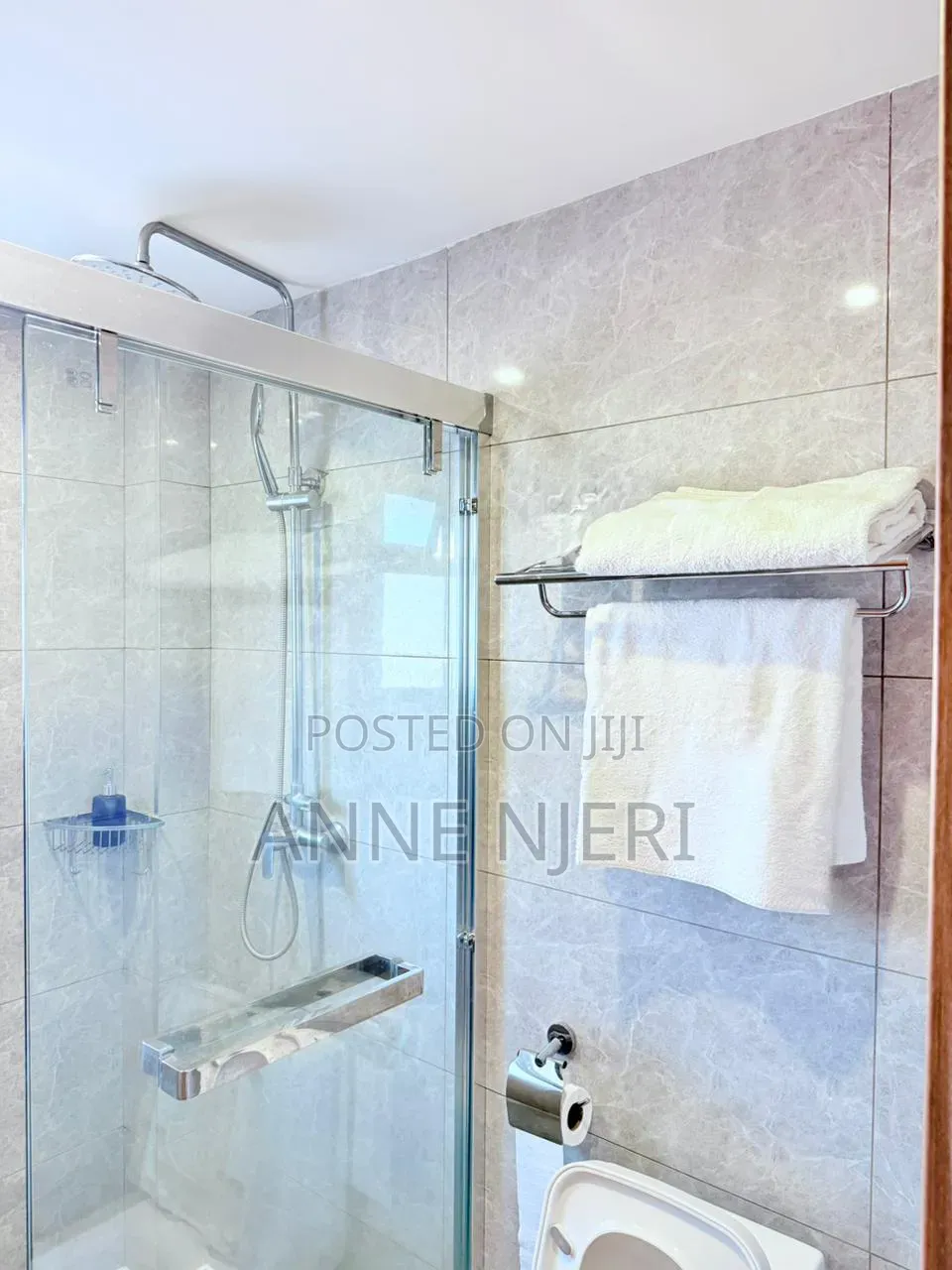 Furnished 1bdrm Apartment in Westlands, Raphta Road Area for rent