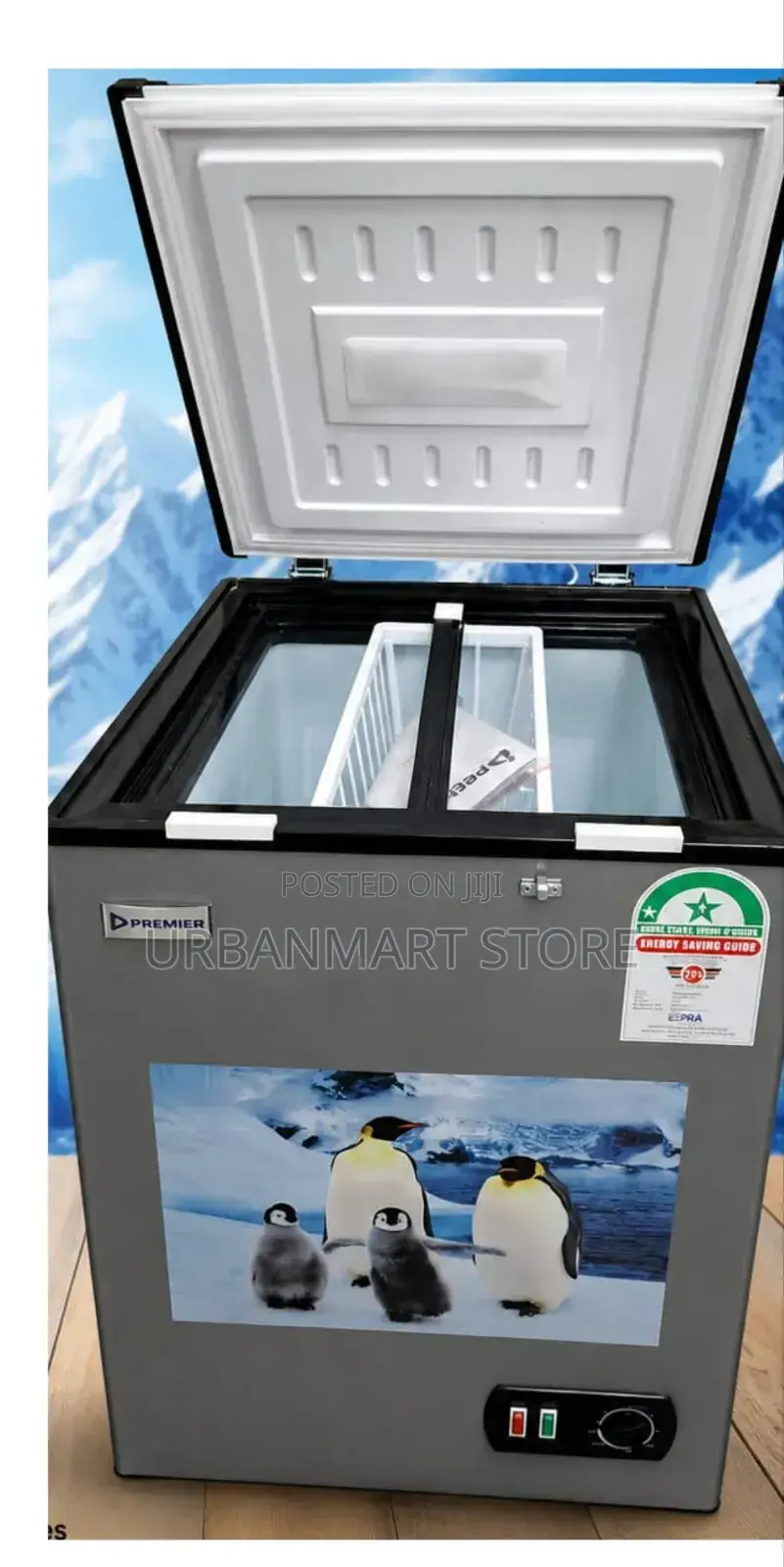 Premier Quality 100 Litres Chest Freezer – Compact Efficient
