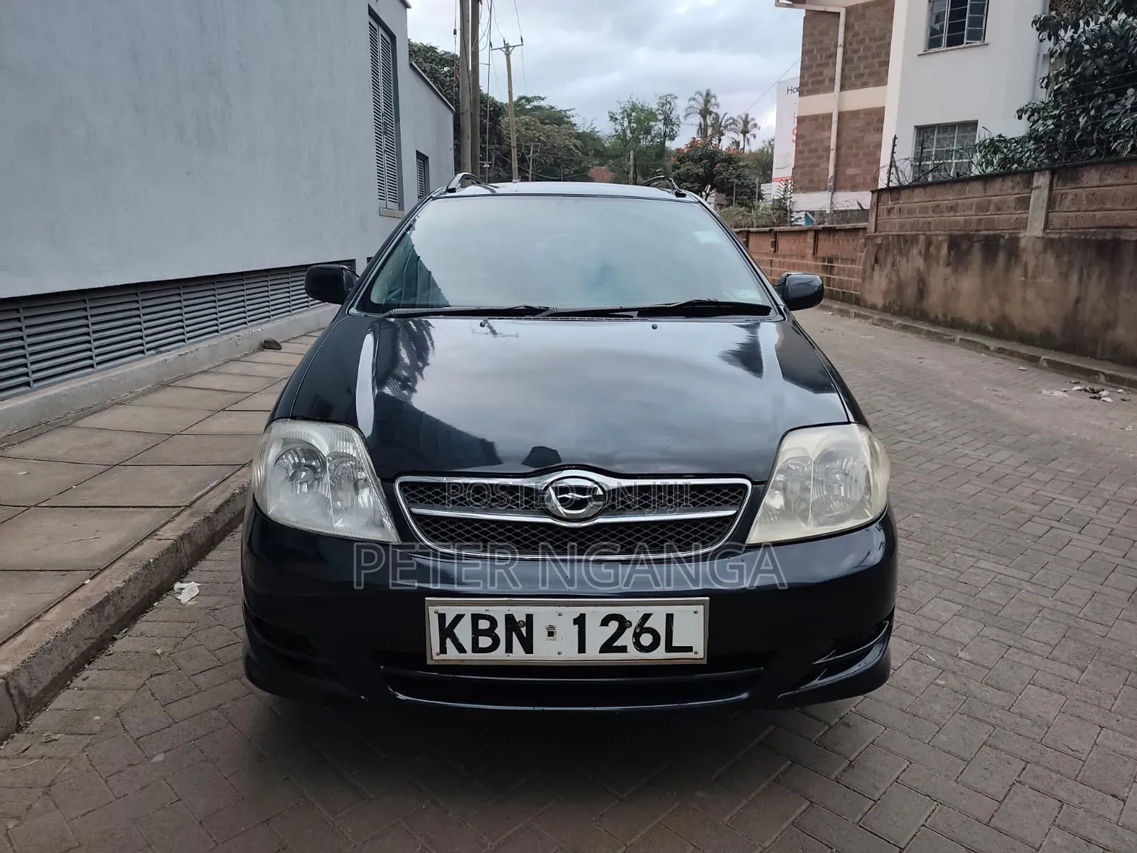 Toyota Corolla Fielder 2004 Black
