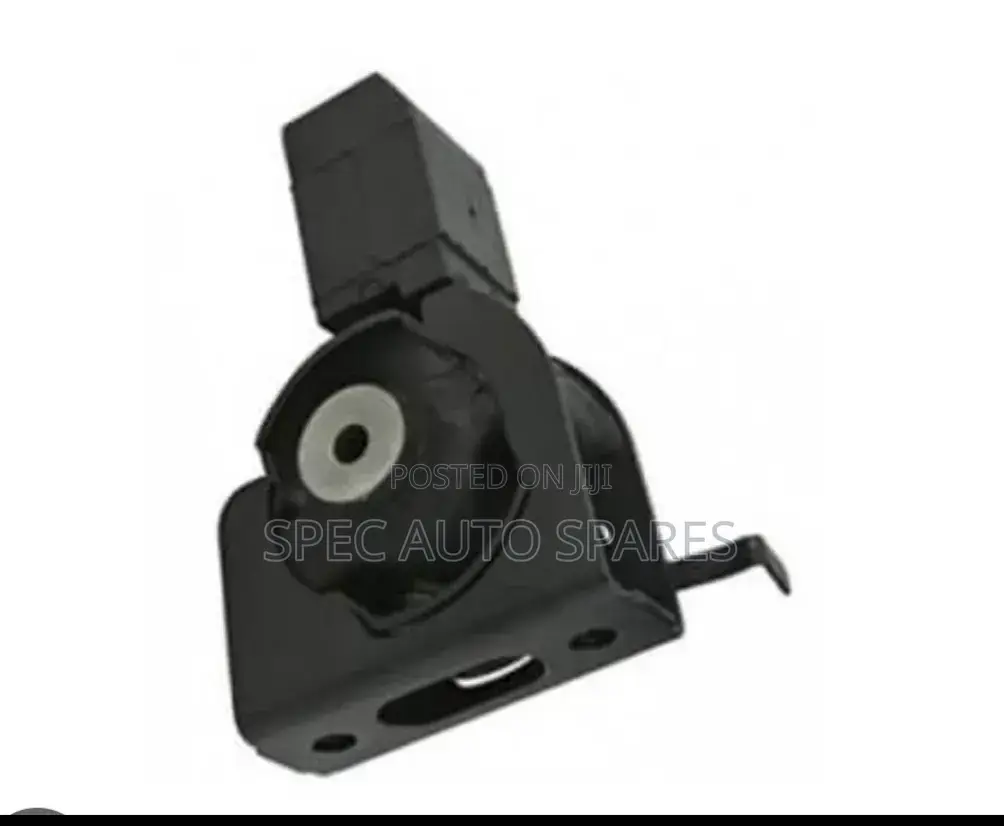 Gear Mounting Noah Nze Big