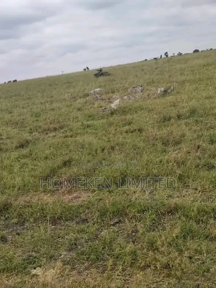 100 Acres Prime Land for Sale in Kipeto Kajiado