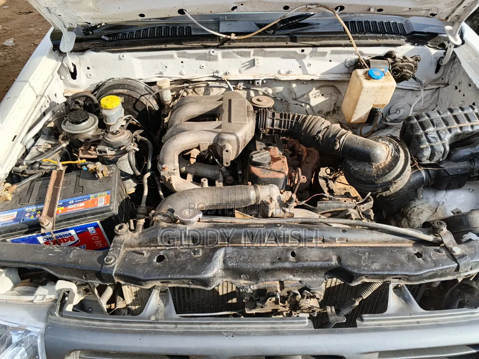 Nissan Hardbody 2004 White