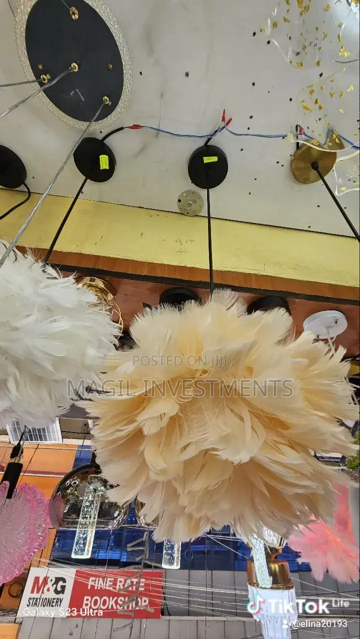 Feather Lamps Pendants