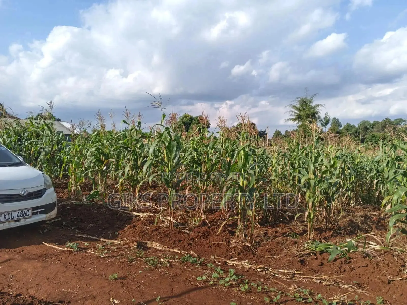 Plot For5 Sale