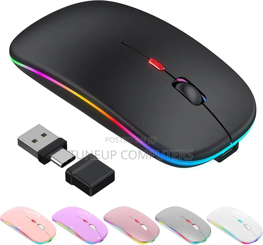 E1700 Rechargeable Mouse