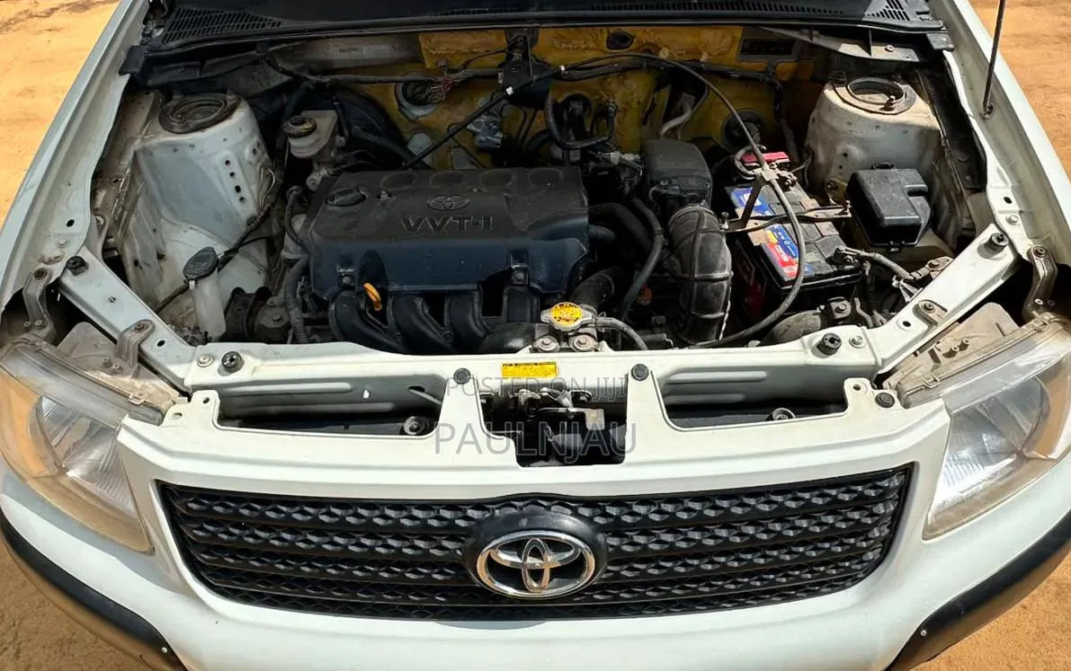 Toyota Succeed 2010