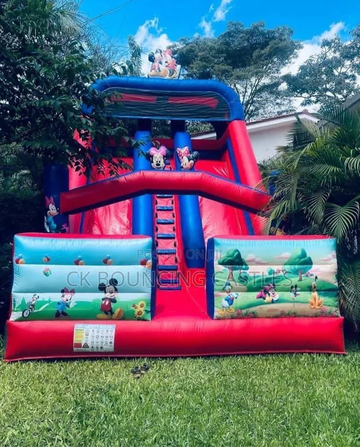 Giant Dry Slides for Rentals