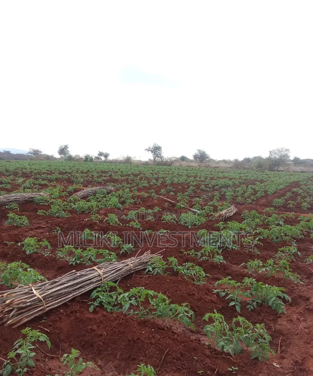 2000 Acres on Sale at Macakos-Masinga
