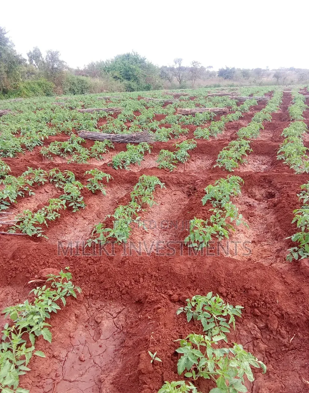 2000 Acres on Sale at Macakos-Masinga