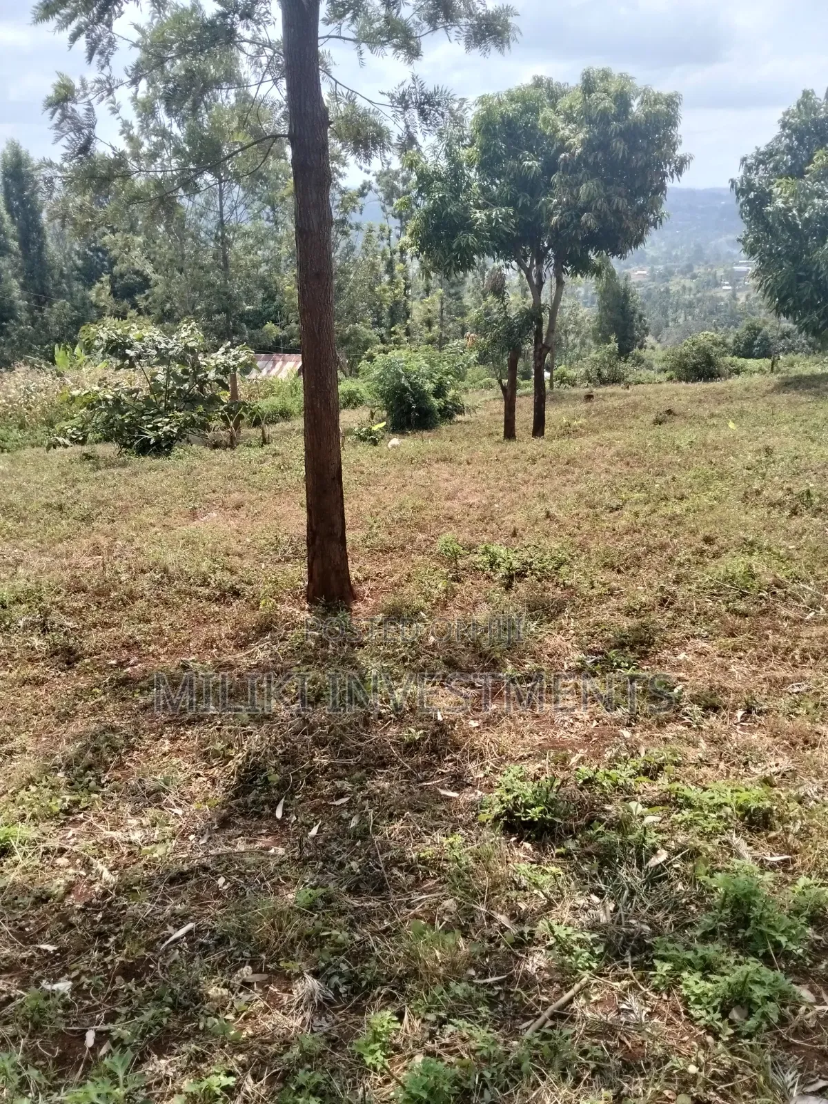 40 by 80 Plots on Sale at Kenol-Kagaa