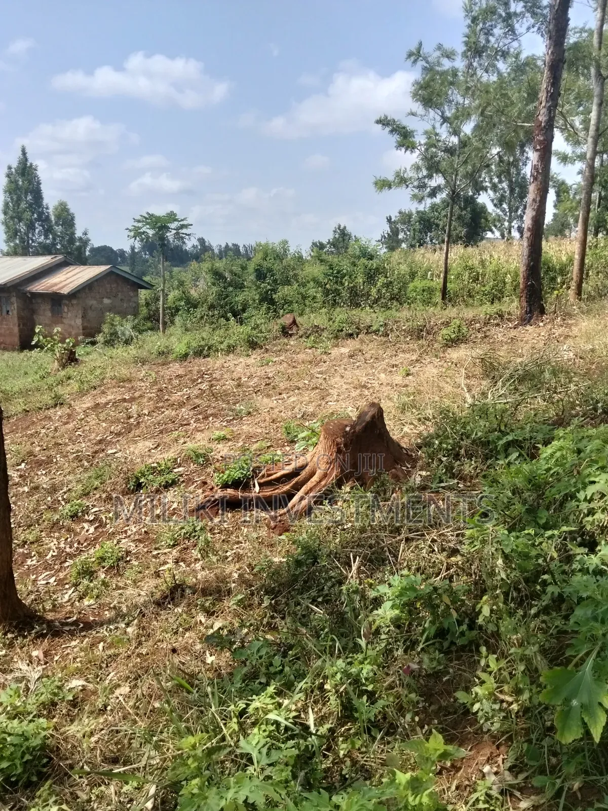 40 by 80 Plots on Sale at Kenol-Kagaa