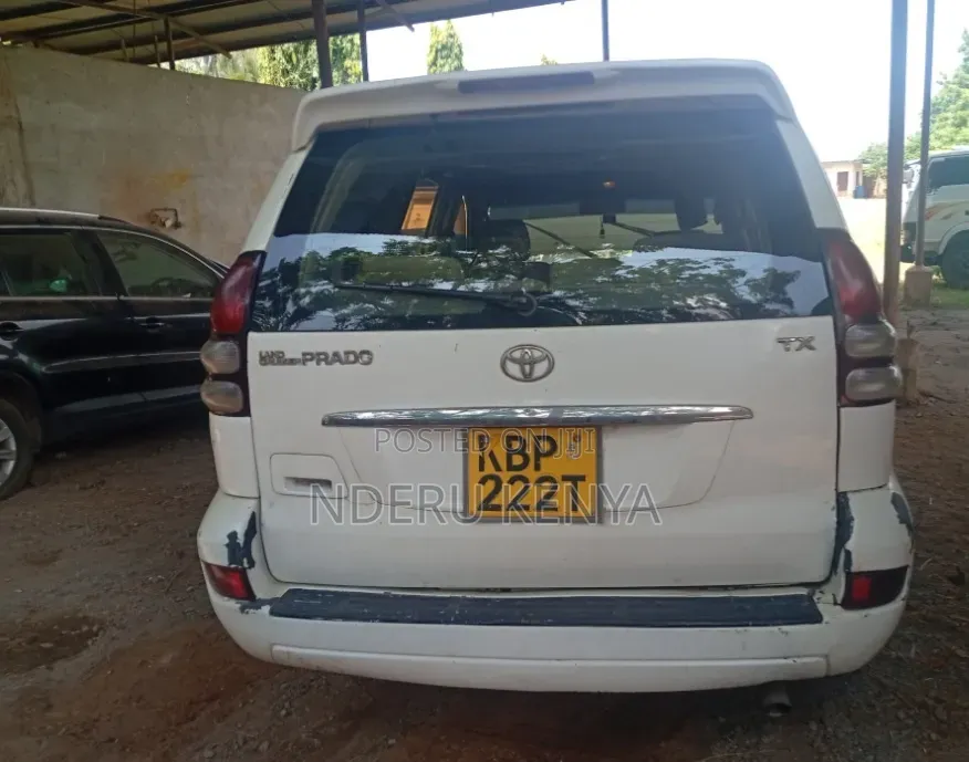 Toyota Land Cruiser 2004 White