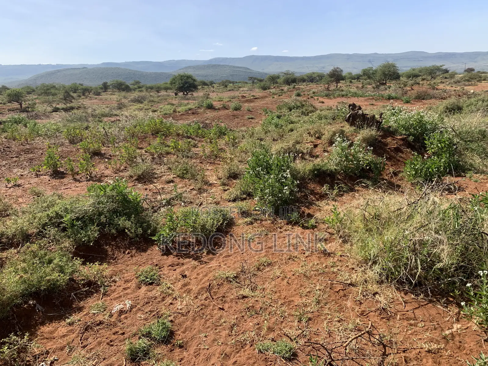 1/2 Acre Ewuaso Kedong Touching Tarmac