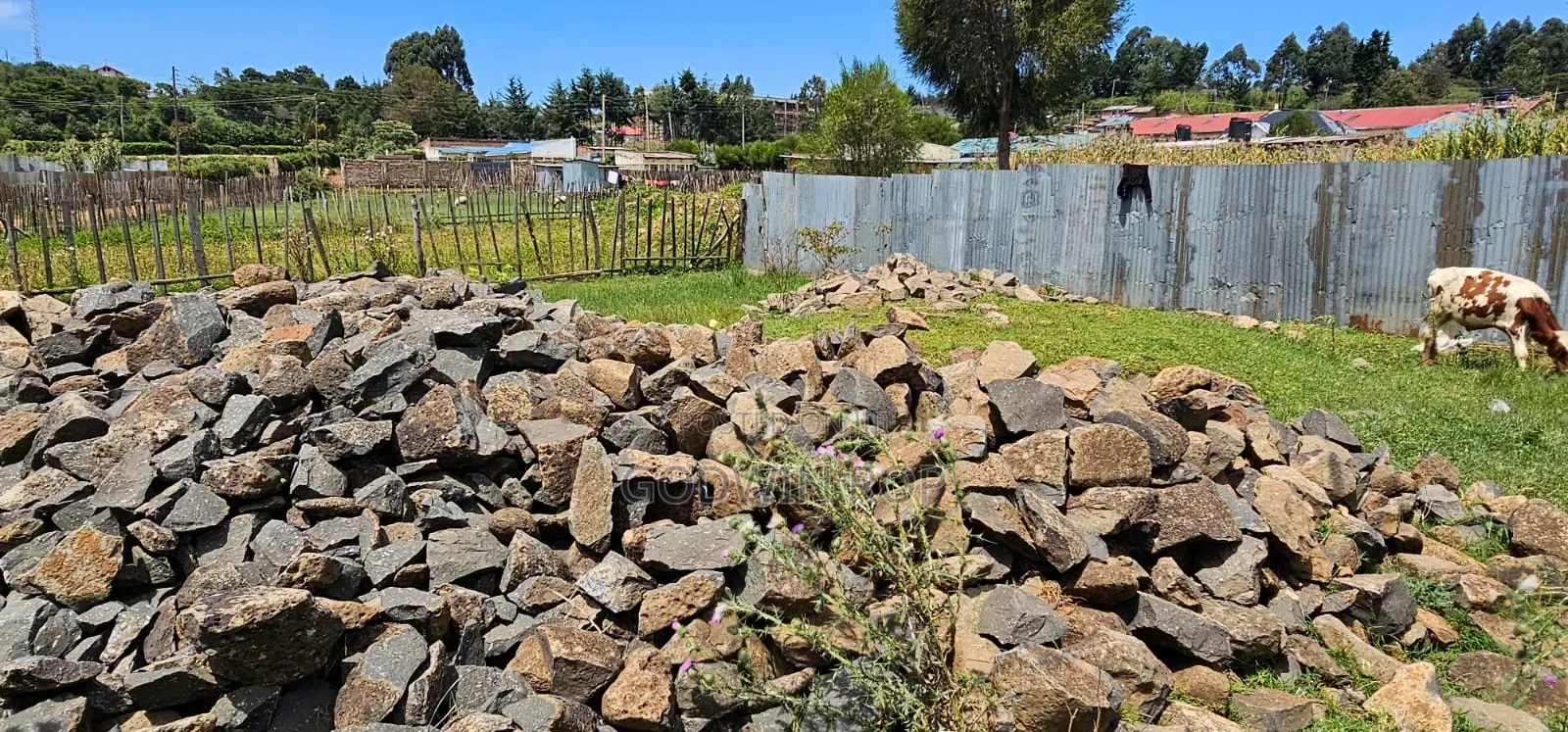 50 by 100 Commercial Plot for Sale in Kipkorgot Eldoret