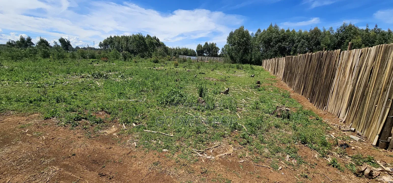 Prime Plots for Sale in Annex Bethel Eldoret