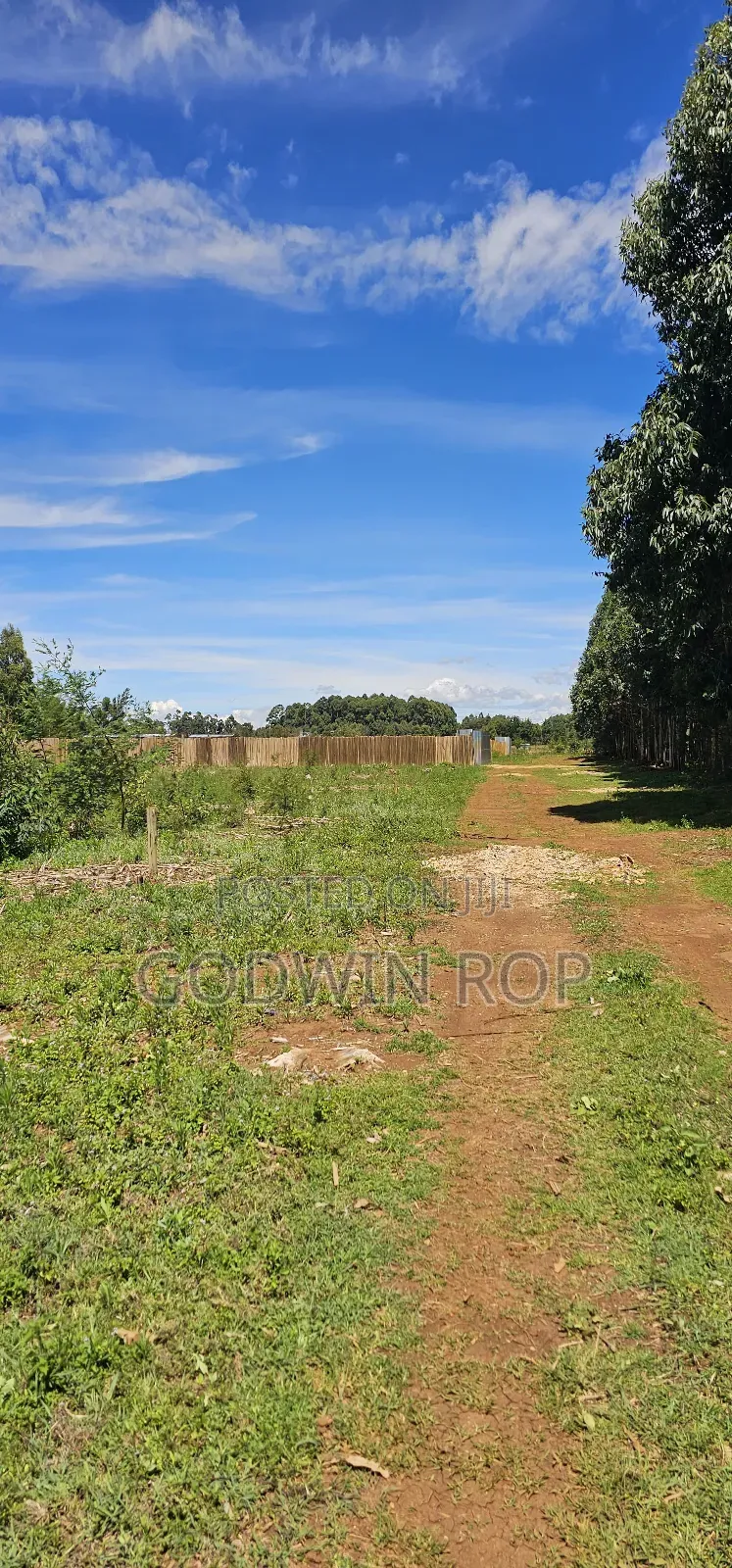 Prime Plots for Sale in Annex Bethel Eldoret