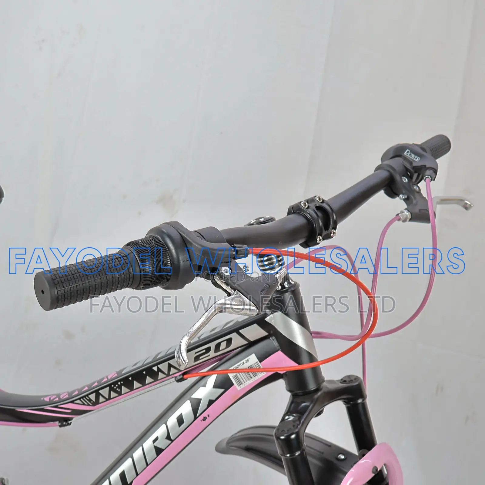20 Inch Unirox Bicycle for Young Riders
