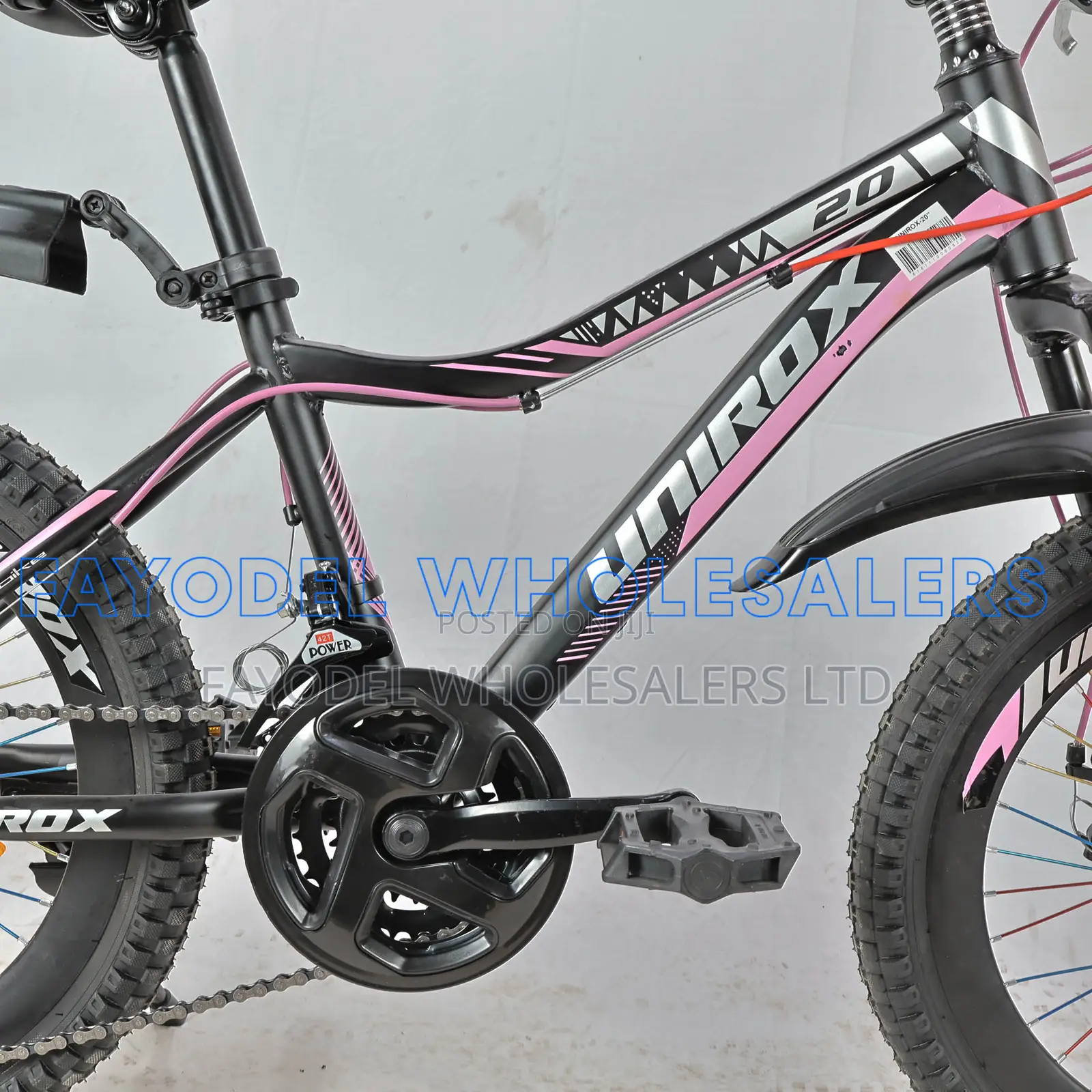 20 Inch Unirox Bicycle for Young Riders
