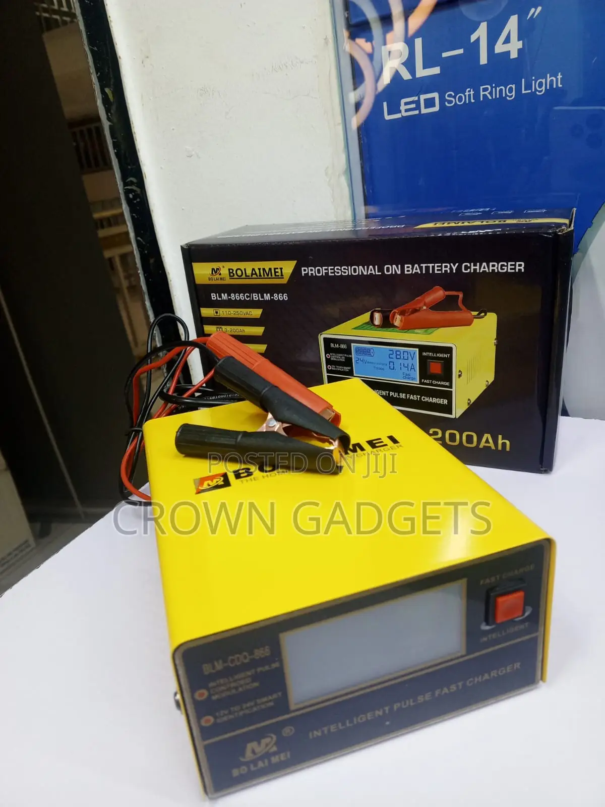 BLM-866 Intelligent Pulse Repair Charger for Agm Gel Battery