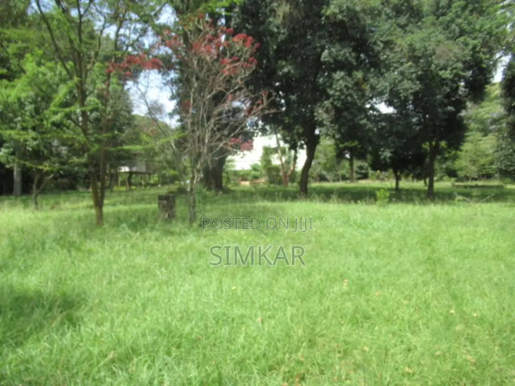 1.3 Acres of Land for Sale in Karen Hardy