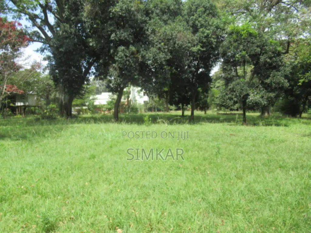 1.3 Acres of Land for Sale in Karen Hardy