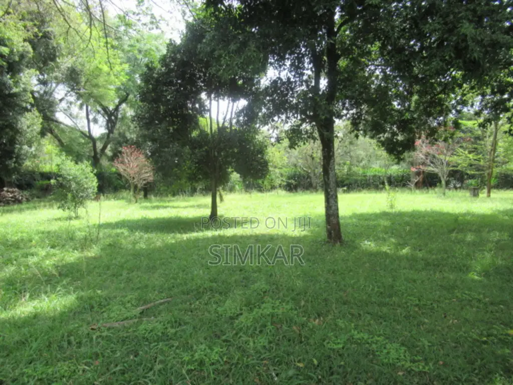 1.3 Acres of Land for Sale in Karen Hardy