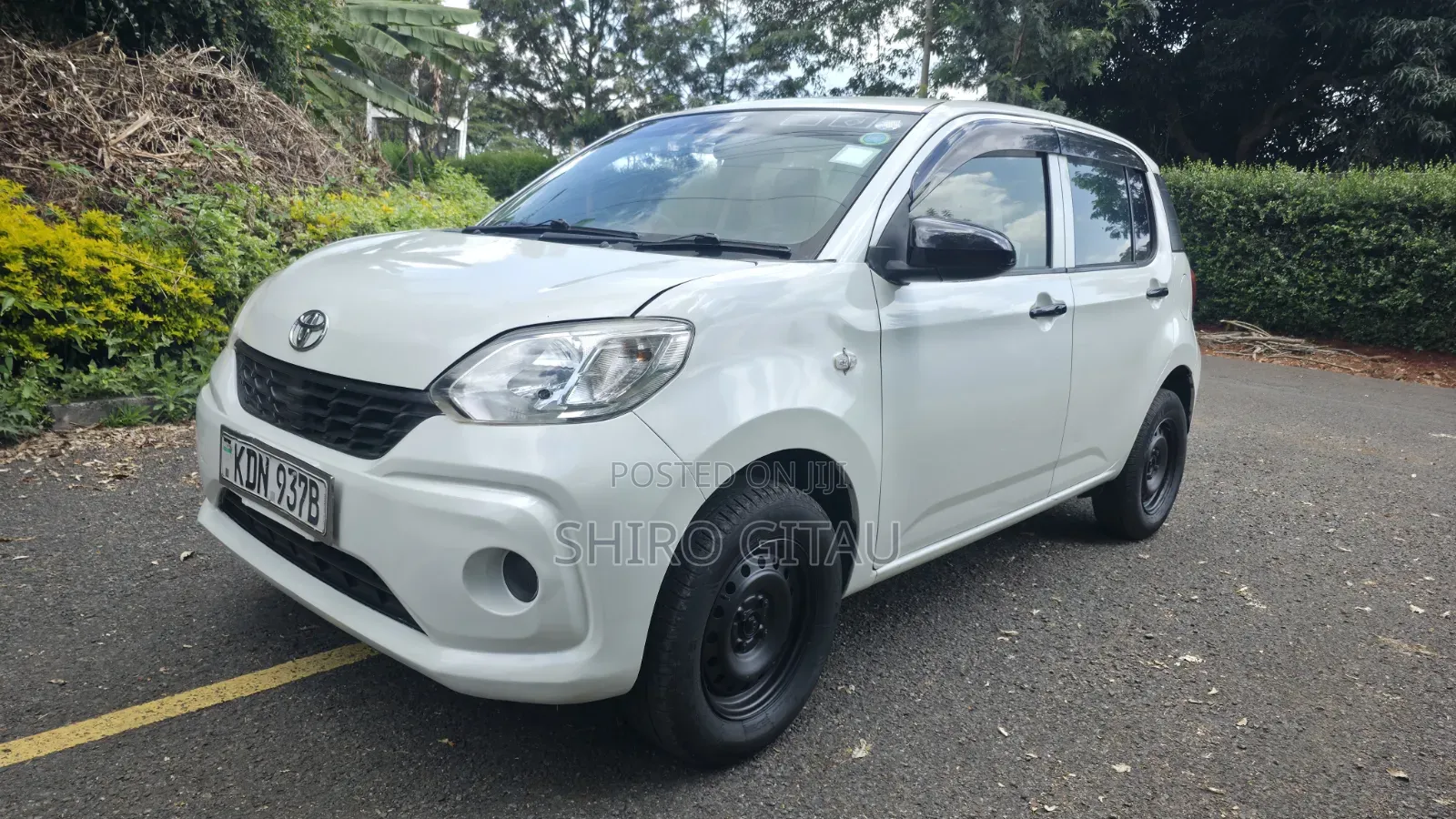 Toyota Passo 2016 White