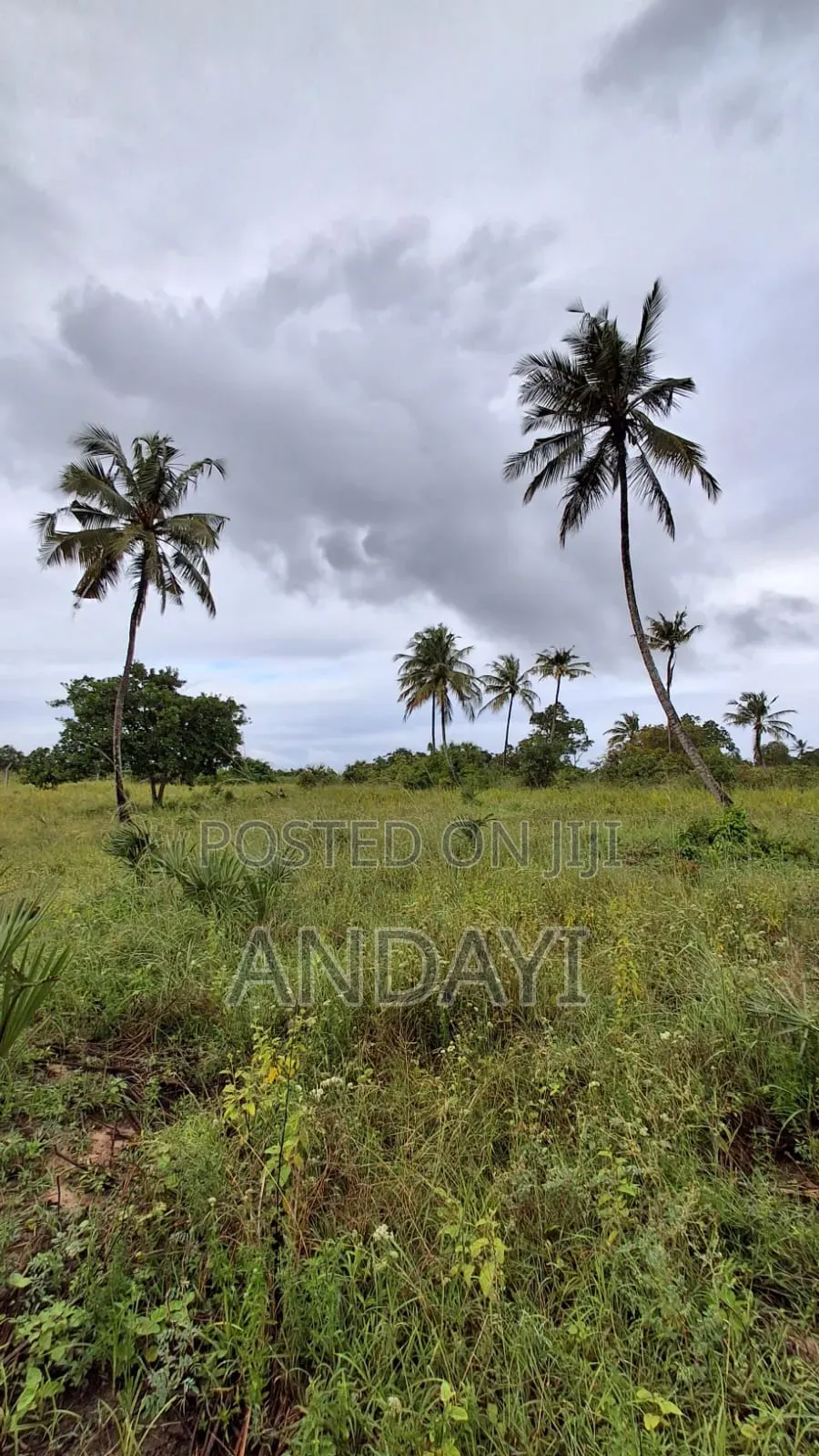 Dongo Kundu Bypass Prime Plots