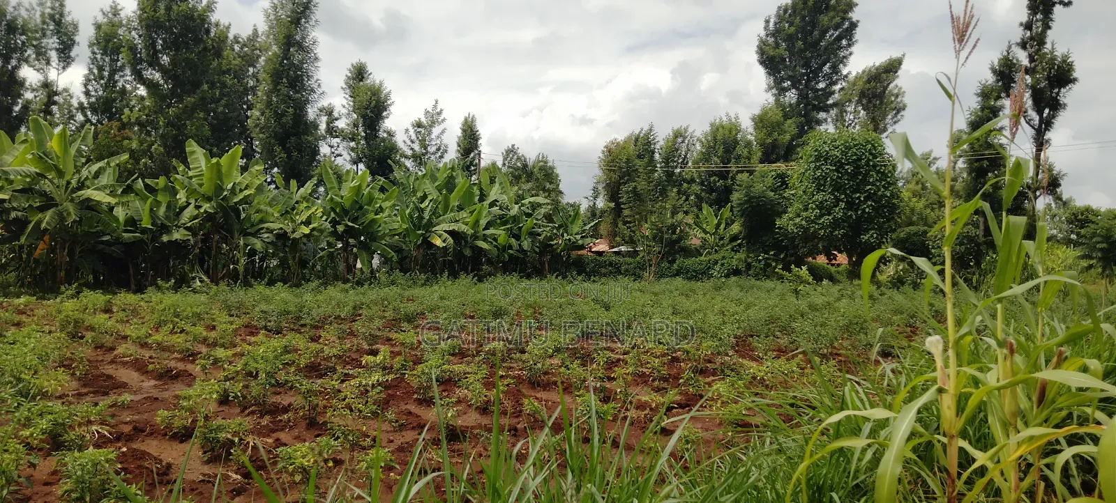 Half Acre for Sale in Kirinyaga Nyangati Near the Tarmac