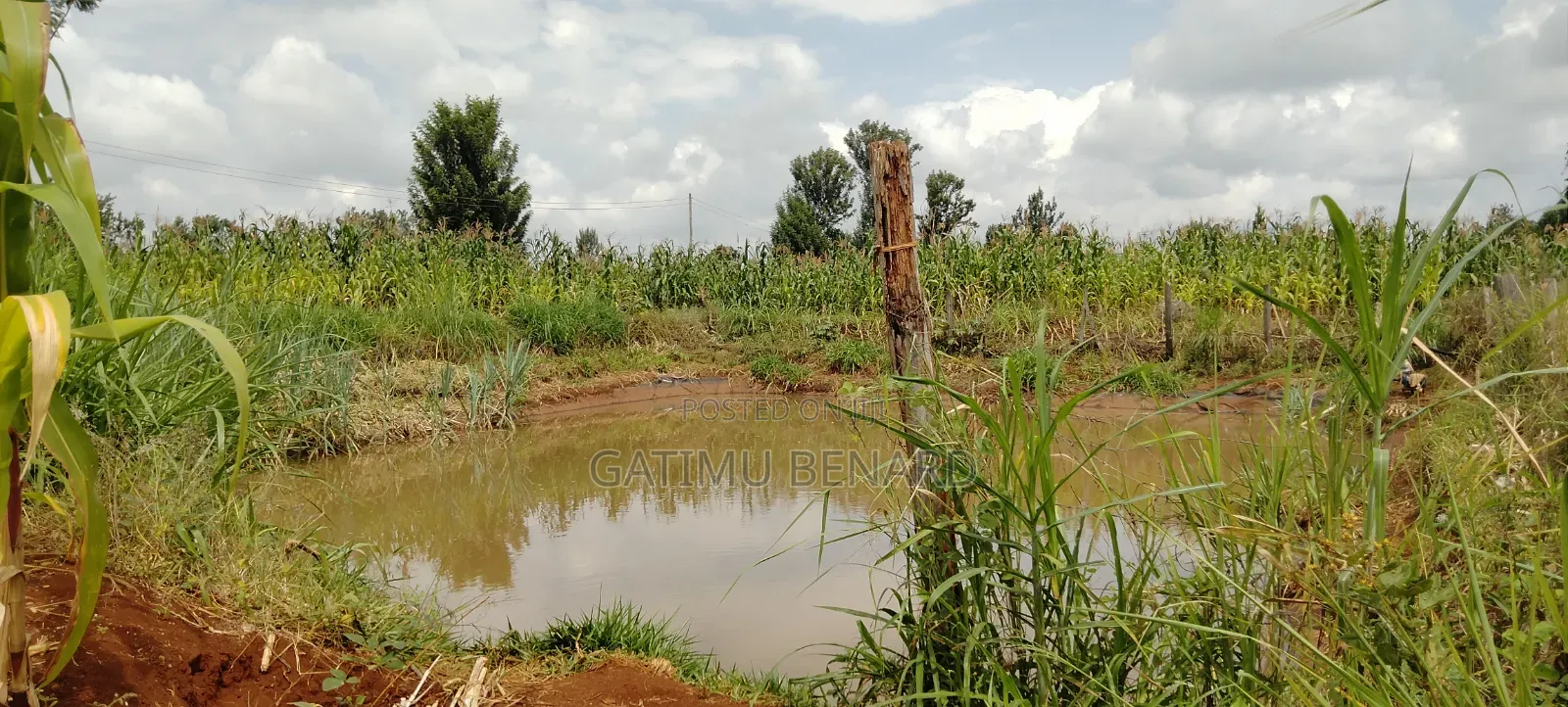 Half Acre for Sale in Kirinyaga Nyangati Near the Tarmac