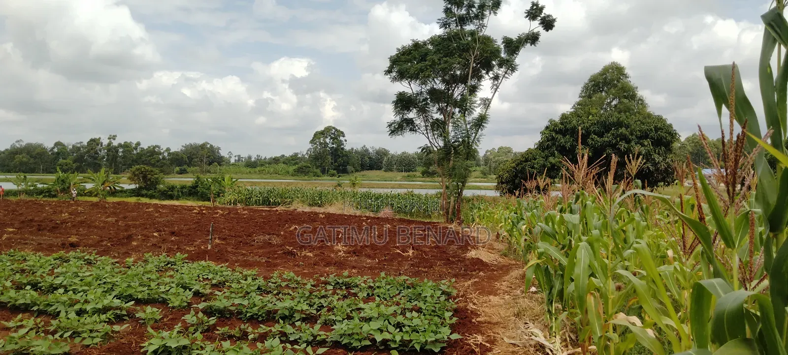 2 Acres on Sale in Kirinyaga Nyangati