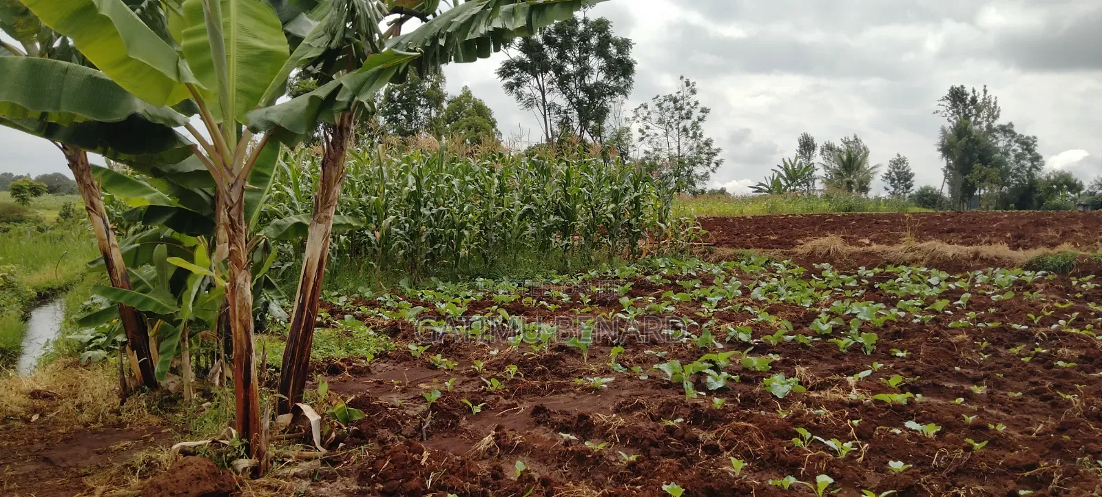 2 Acres on Sale in Kirinyaga Nyangati
