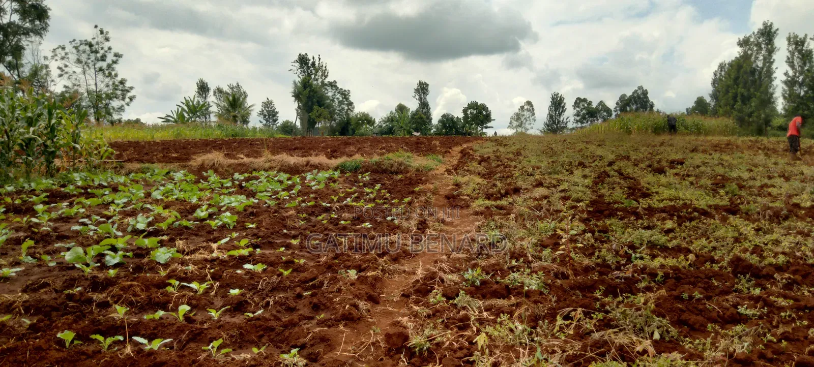 2 Acres on Sale in Kirinyaga Nyangati