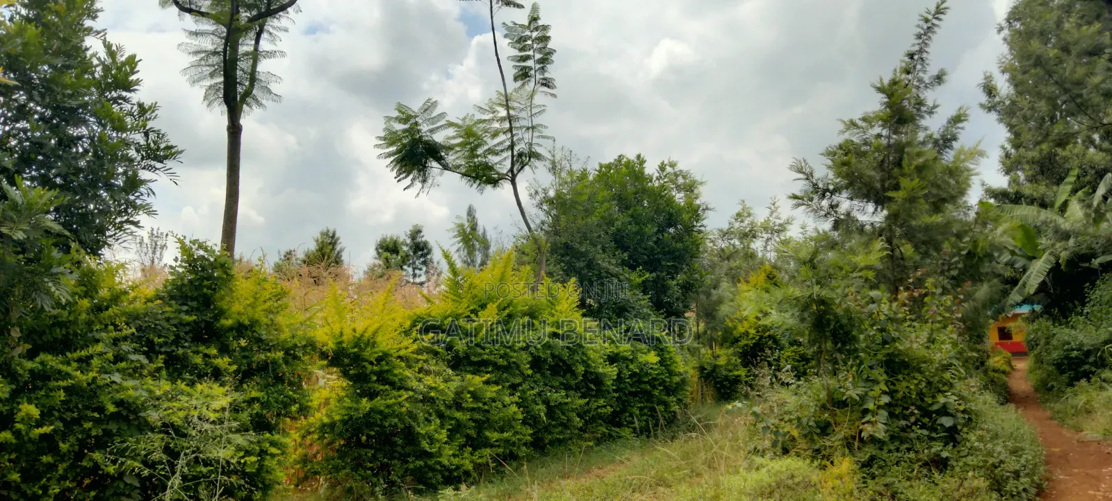 Prime 50 × 100 Plot on Sale in Kirinyaga Nyangati