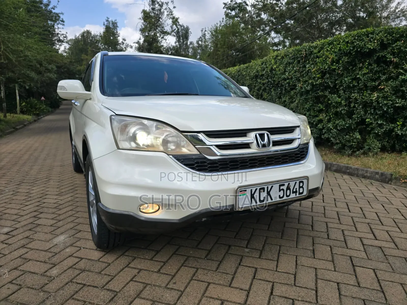 Honda CR-V 2010 White