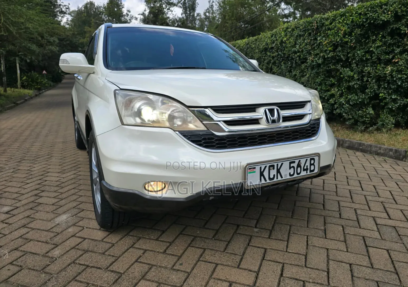 Honda CR-V 2010 White