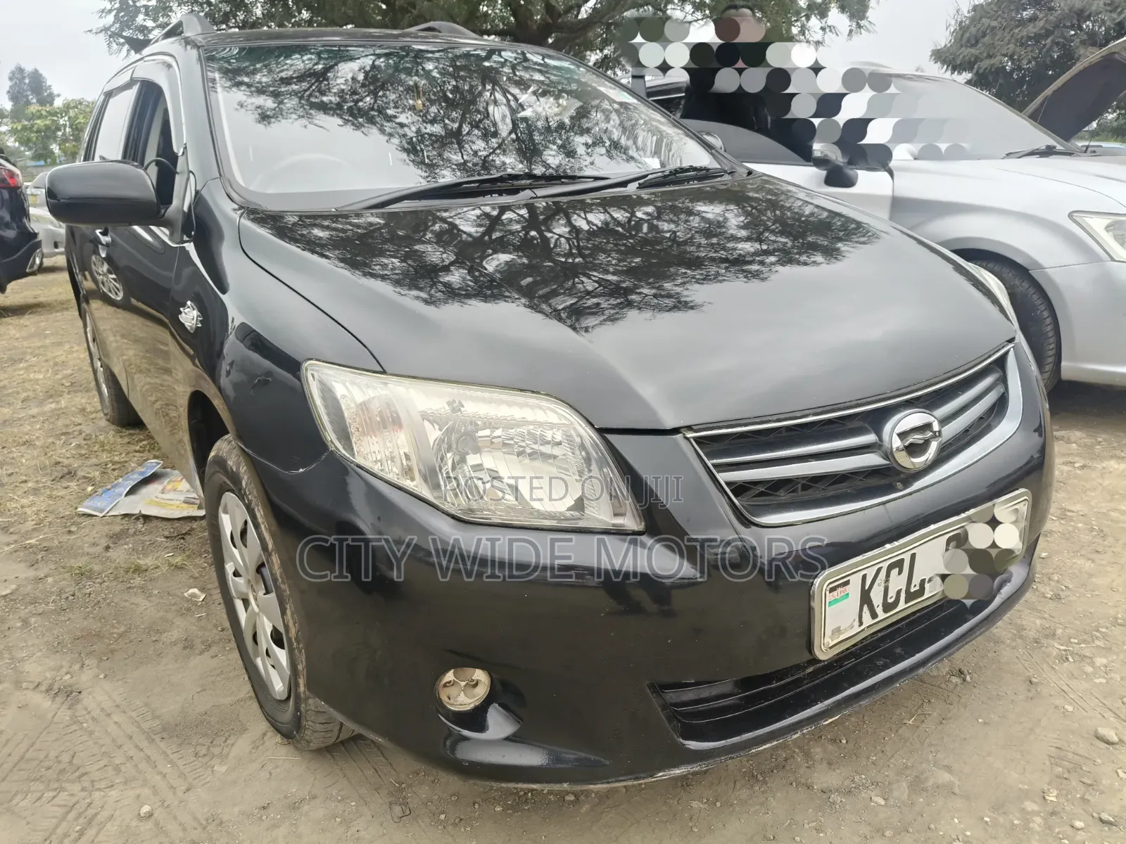 Toyota Corolla Fielder 2010 Black