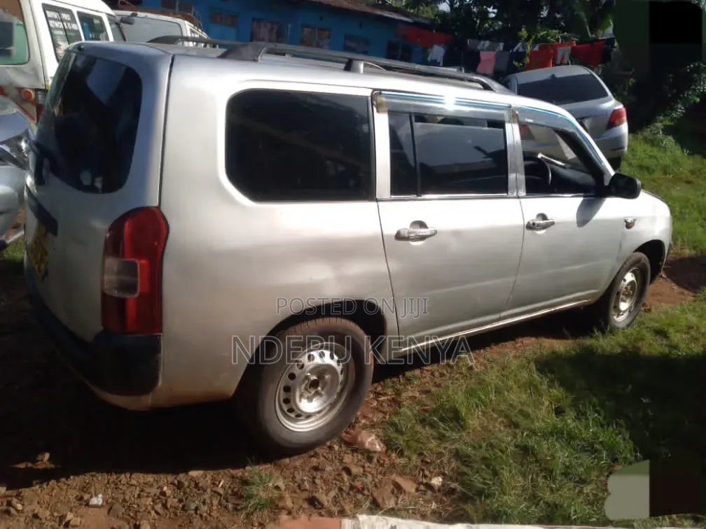 Toyota Probox 1.5 DX 2WD 2010 Silver