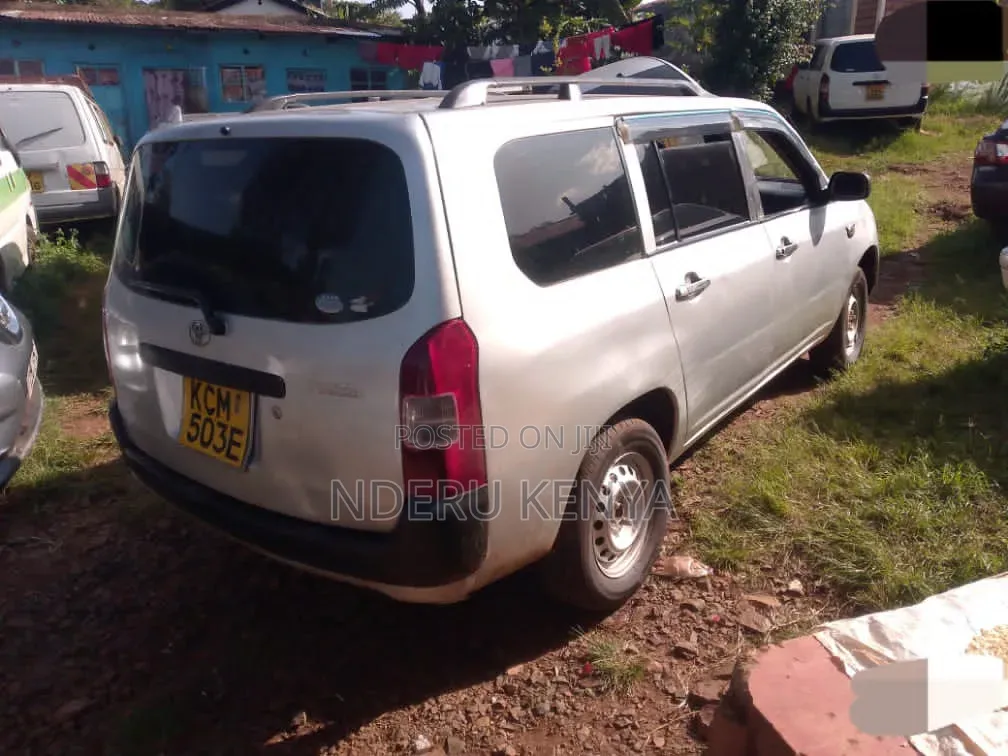 Toyota Probox 1.5 DX 2WD 2010 Silver