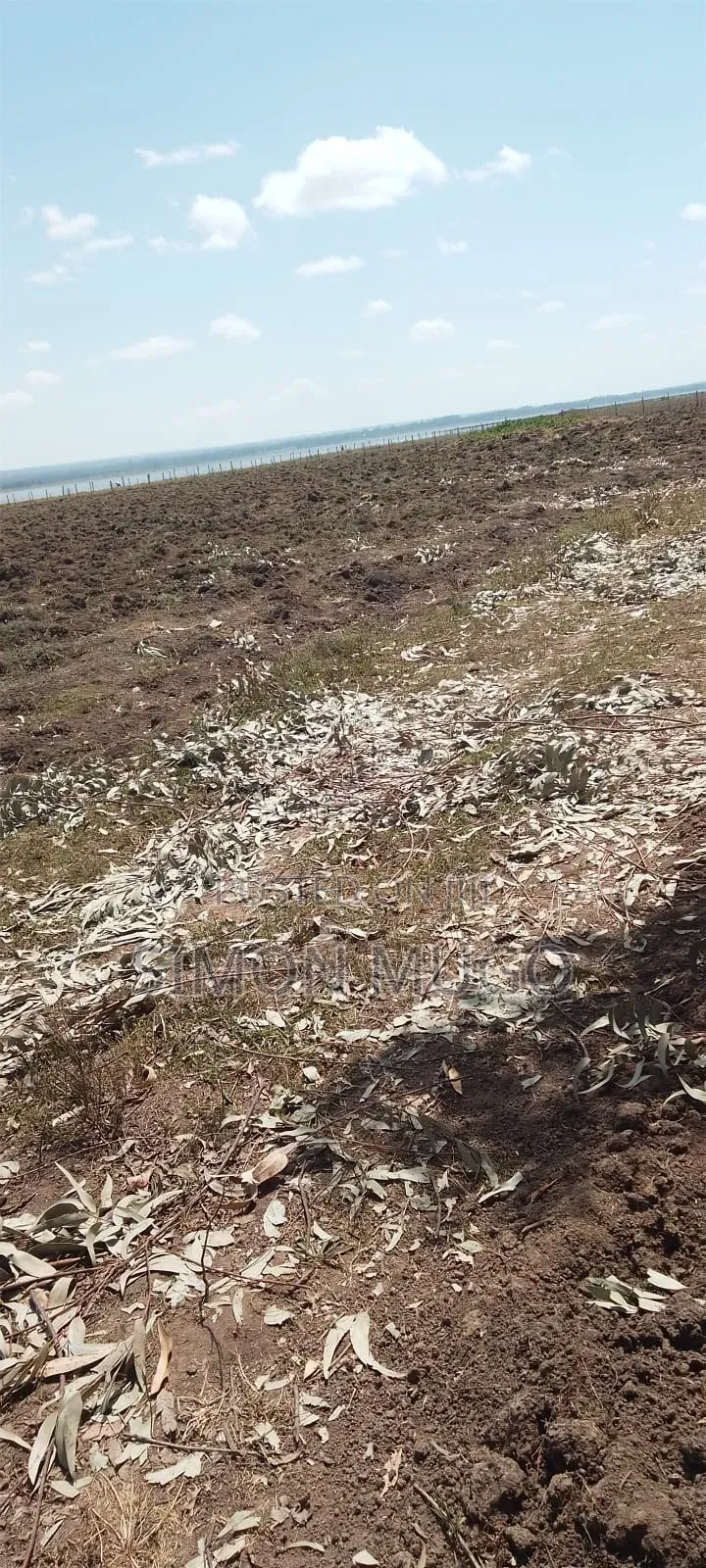 Olkalou Prime 8 Acres Near Kariamu Shops Ideal for Horticulture