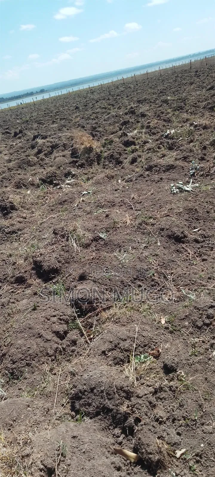 Olkalou Prime 8 Acres Near Kariamu Shops Ideal for Horticulture