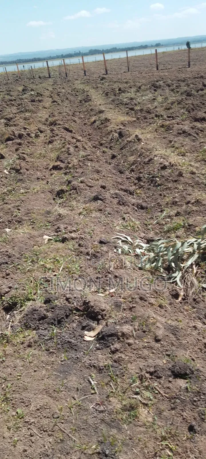 Olkalou Prime 8 Acres Near Kariamu Shops Ideal for Horticulture
