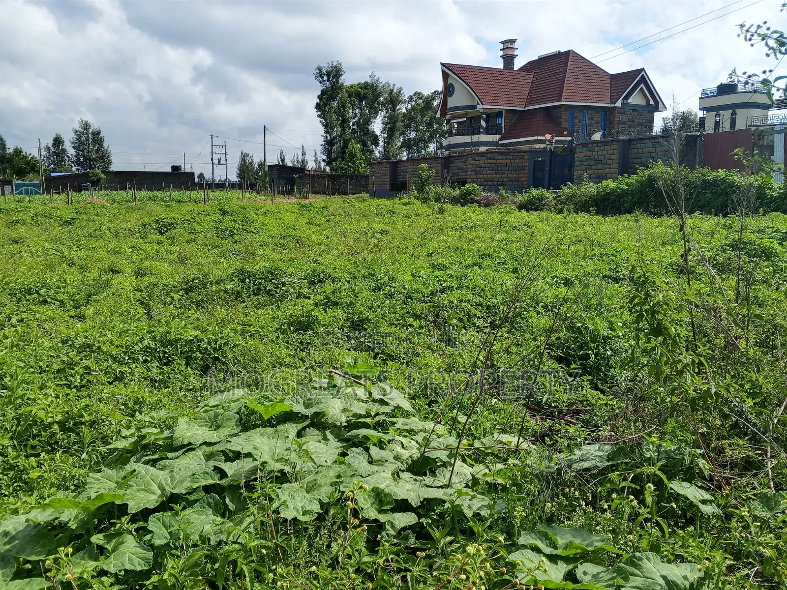 50*100 Plot for Sale Eastgate Barnabas Nakuru