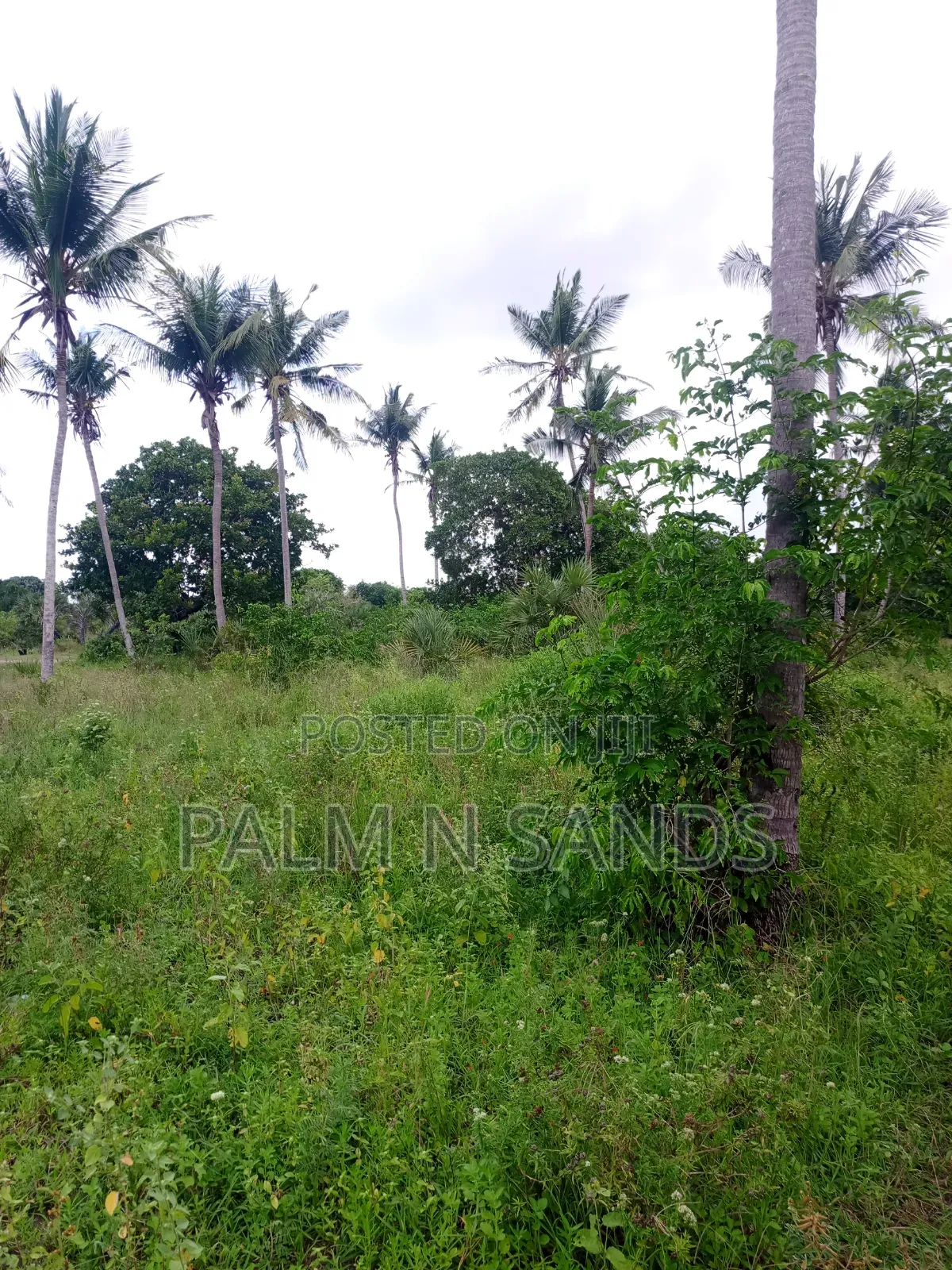 One Acre in Mwabungo Area of Diani on Sale!