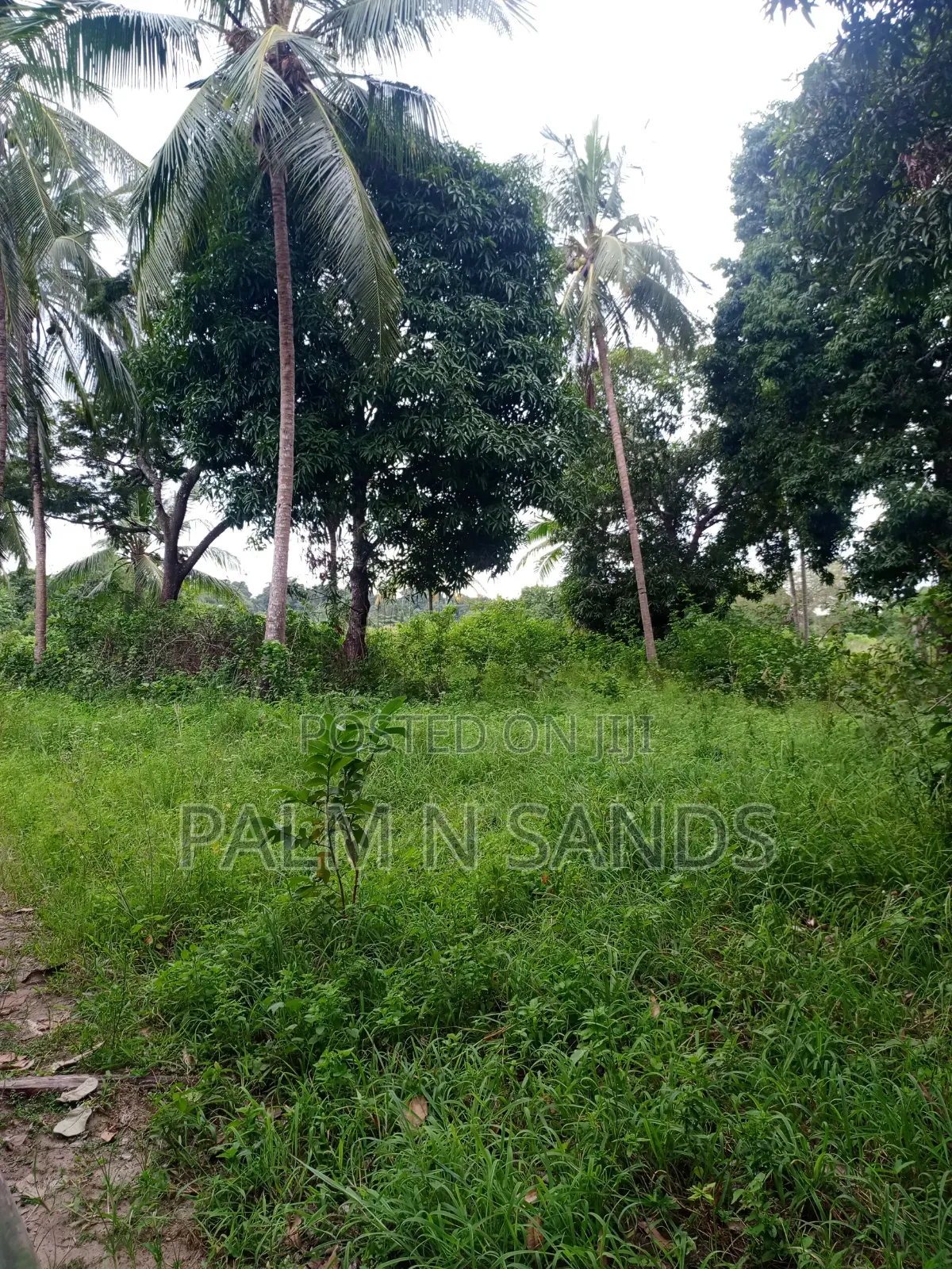 One Acre in Mwabungo Area of Diani on Sale!
