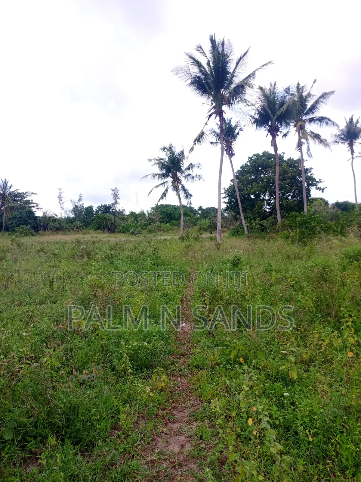 One Acre in Mwabungo Area of Diani on Sale!