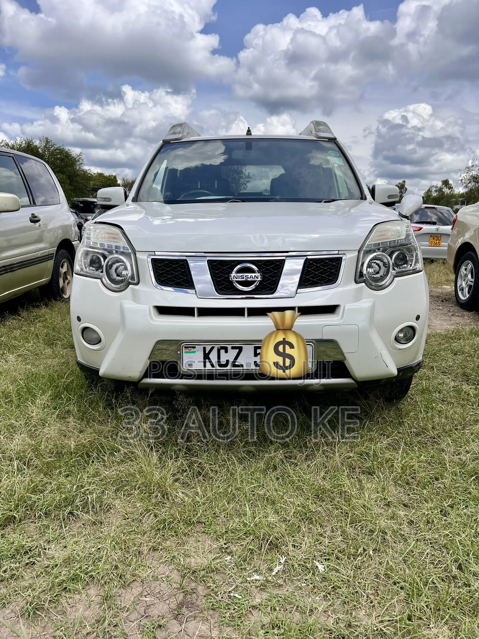 Nissan X-Trail 2.0 Petrol AWD 2013 White