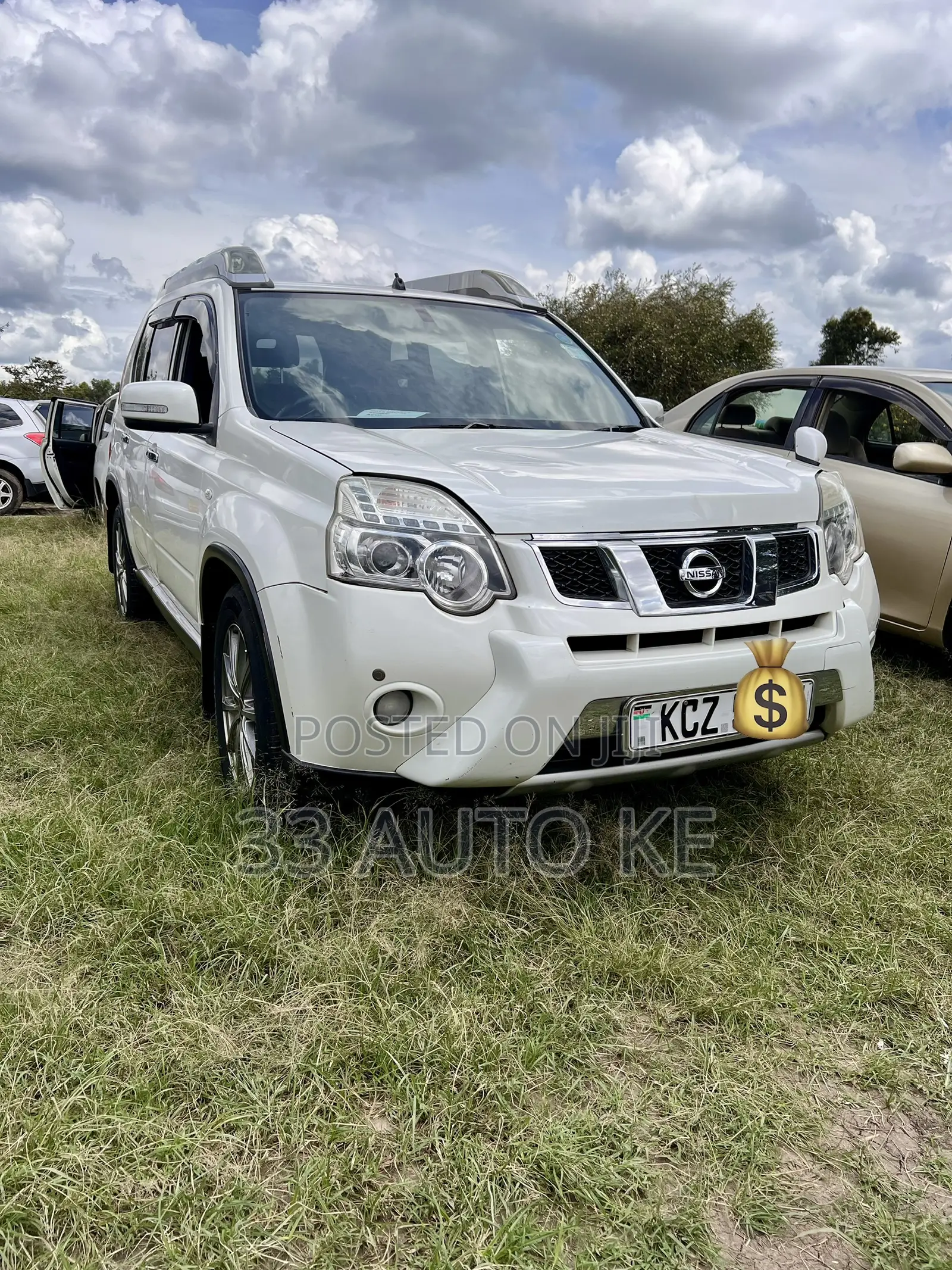 Nissan X-Trail 2.0 Petrol AWD 2013 White
