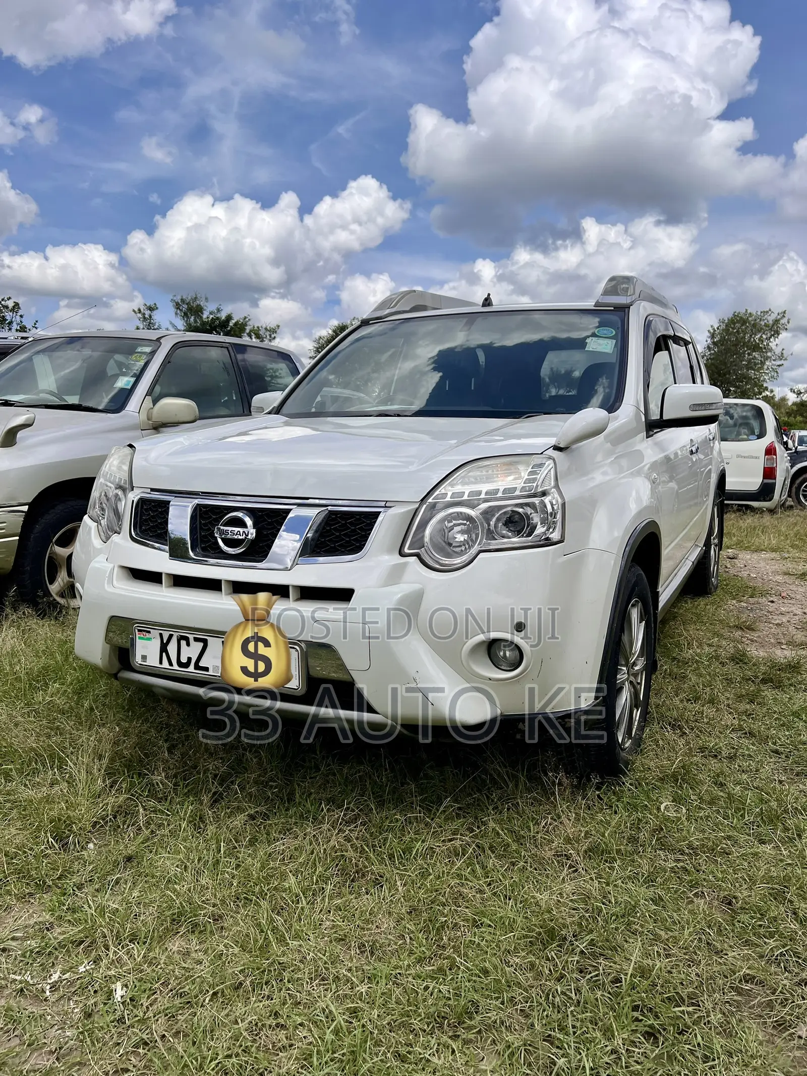 Nissan X-Trail 2.0 Petrol AWD 2013 White