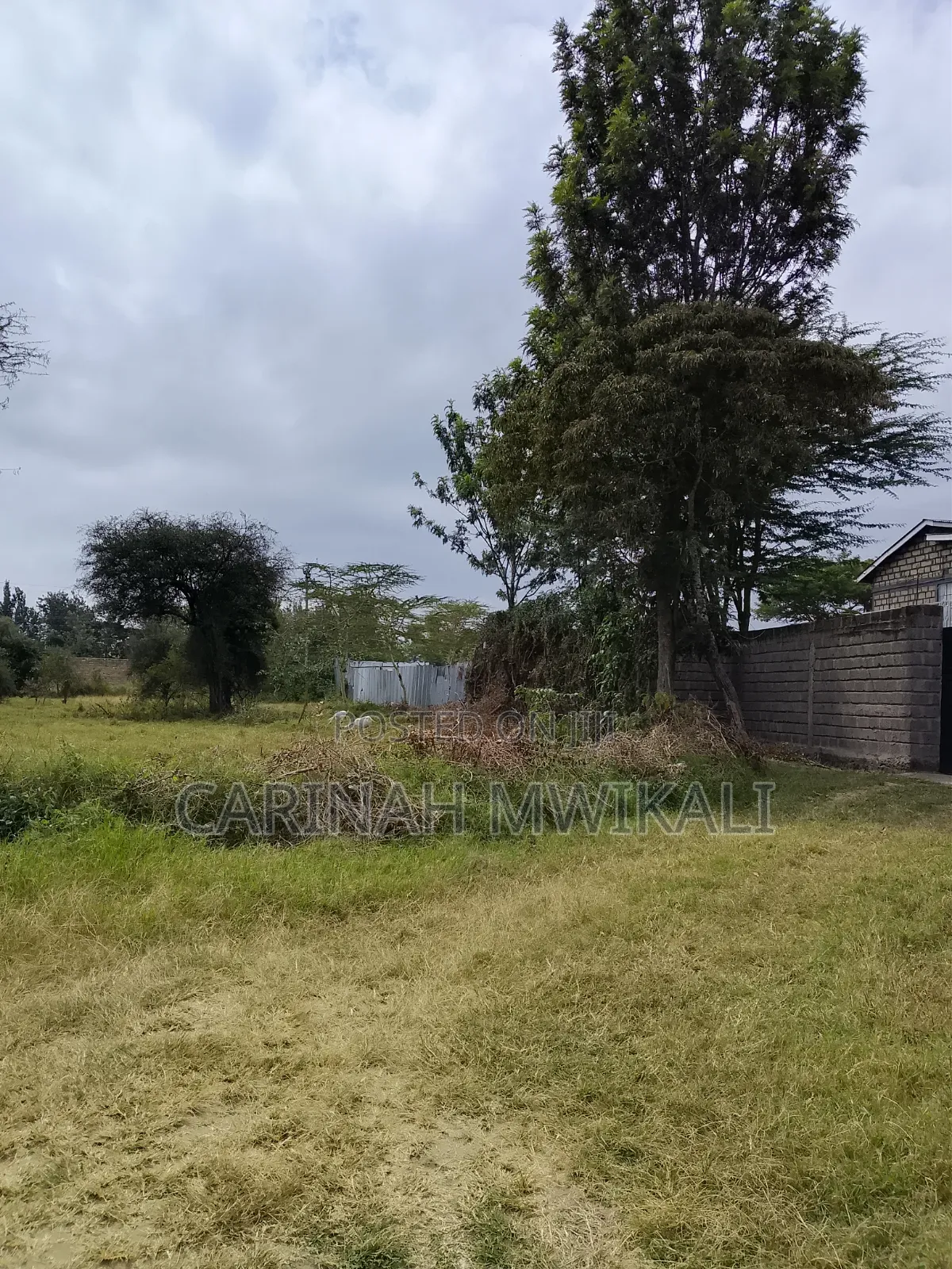 Prime 3 Plots of 50*100 at Miwani Machakos